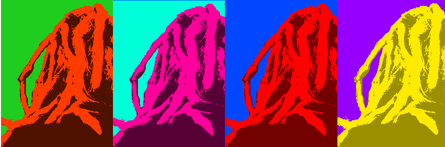 Der Dreadlockblog